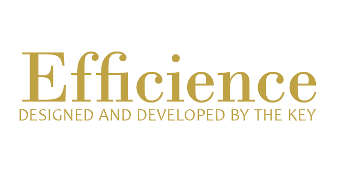 logo Efficience